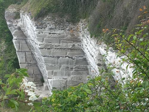 20230615 120221-Kopie