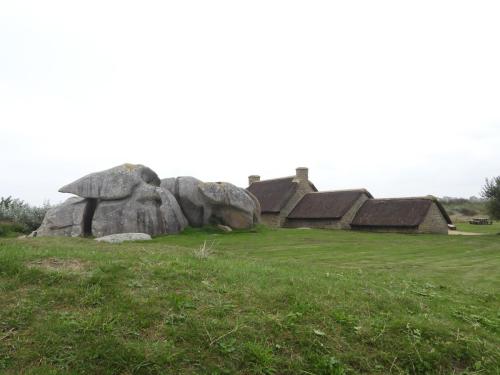 DSCN1352